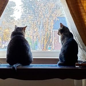 Meet your Posher, Roger